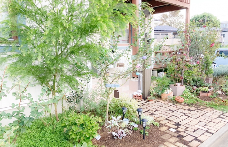 庭づくりでの失敗と理想のガーデンスペース