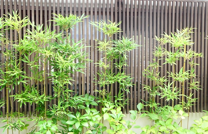 常緑樹や落葉樹などの植栽を適度に取り入れる