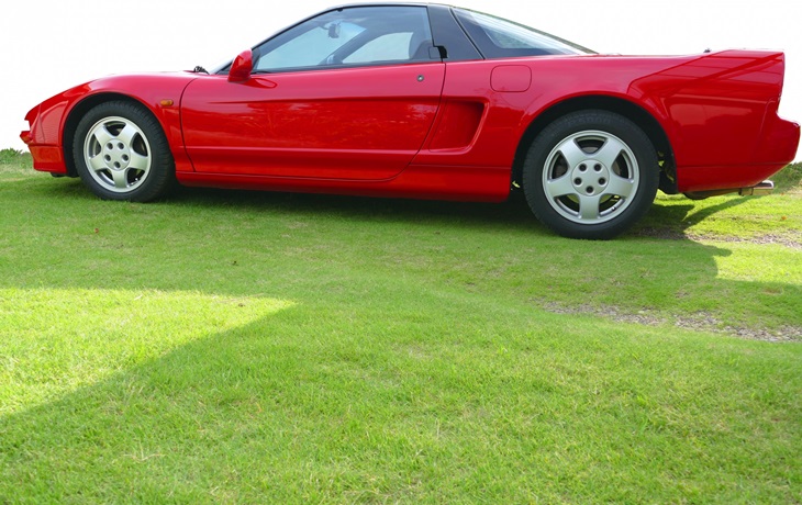 芝生・緑化舗装