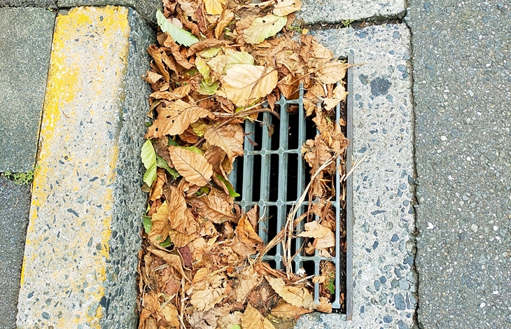 雨の最中は一気に大量の水が押し寄せるため、小さなゴミでも排水溝に引っかかることで一瞬のうちに流れが滞ってしまいます