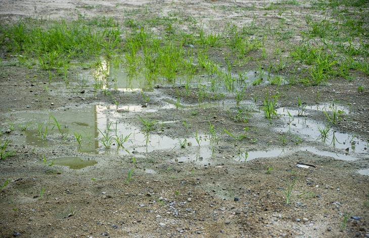 大雨や冠水直後に確認しておきたい外構の点検箇所